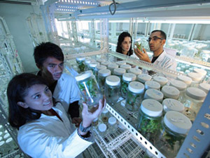 手机号在线轰炸测试